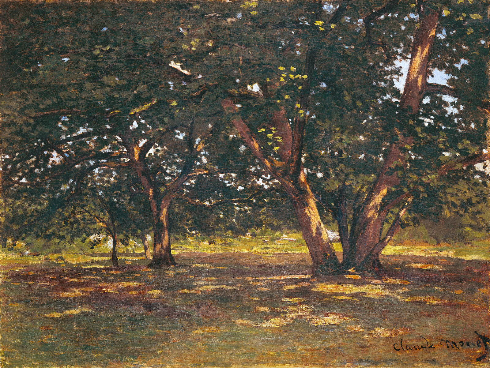 Forest of Fontainebleau , 1865, Kunst Museum Winterthur, gift of the Galerieverein, 1934